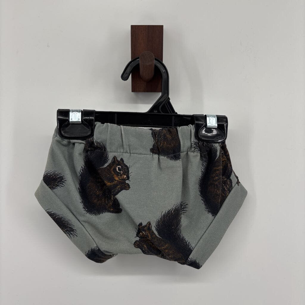 squirrel