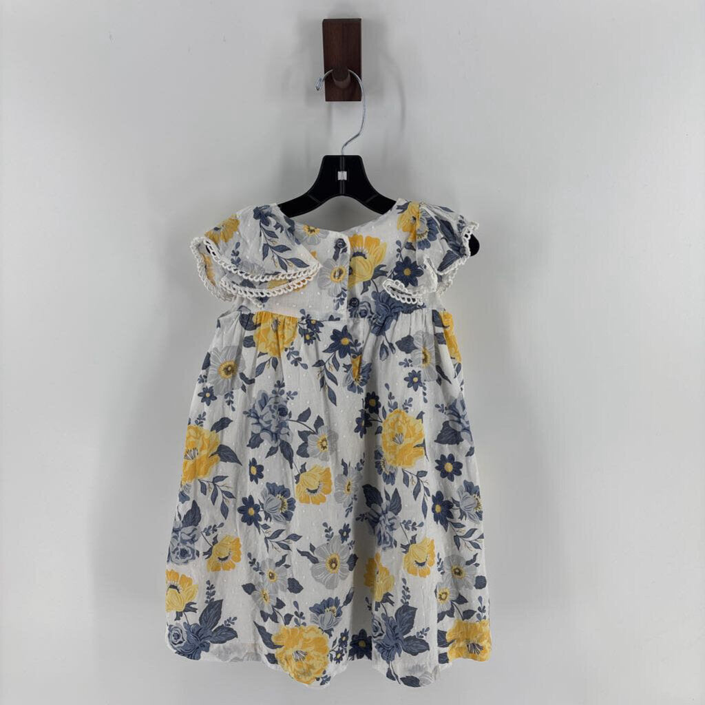 Blue and yellow flowers