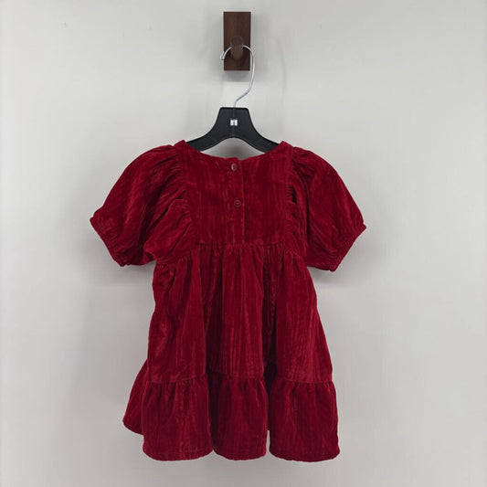 NWT velvet