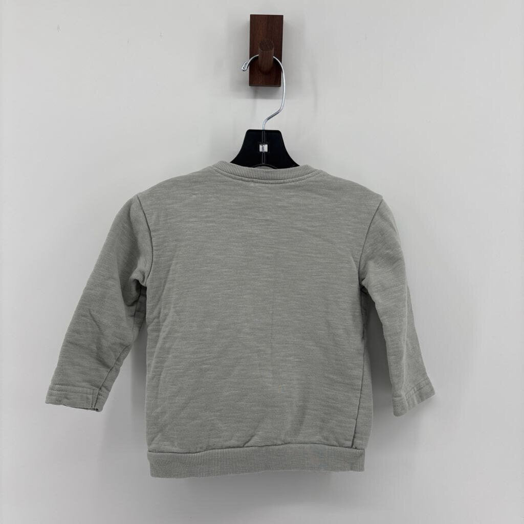 Kite Patch on Chest