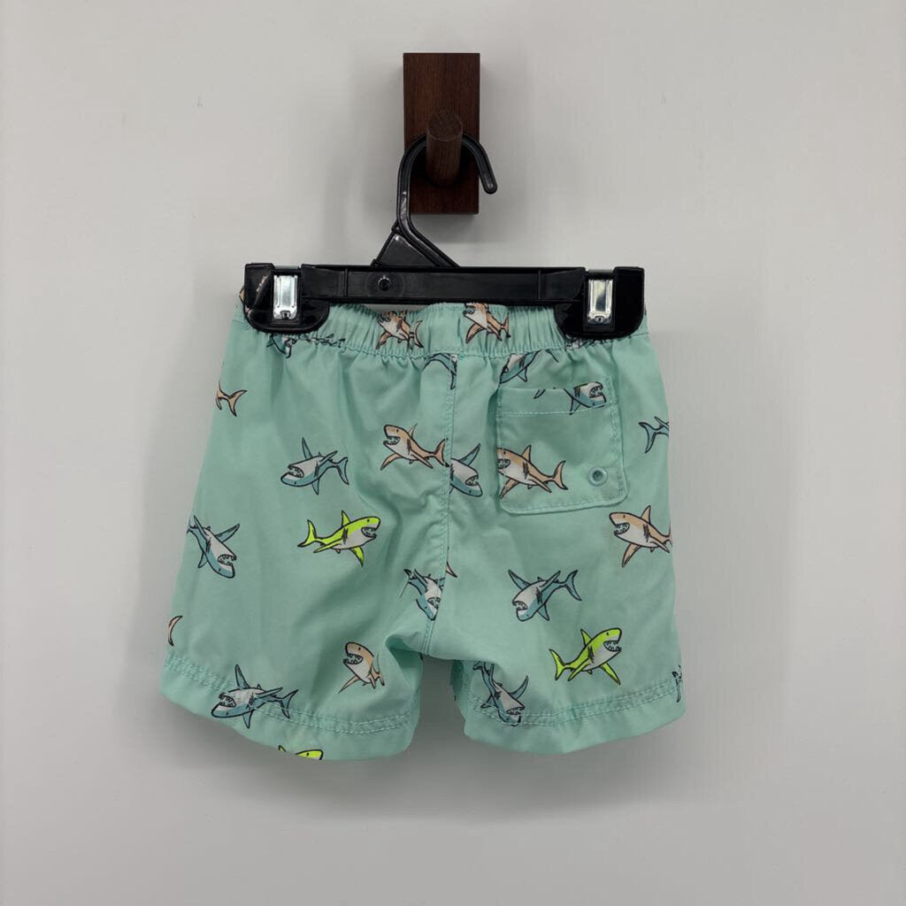 sharks shorts