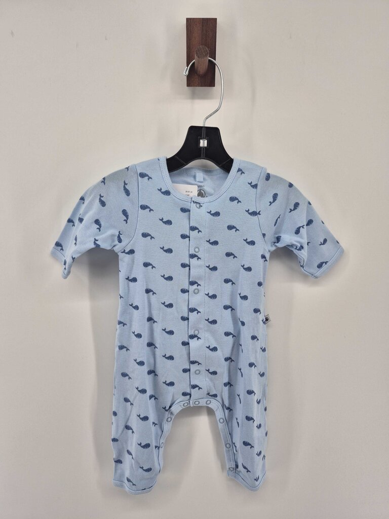 whales