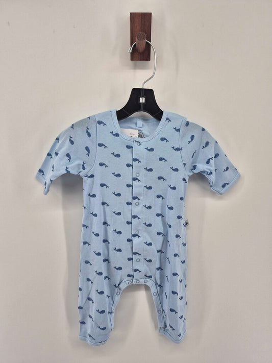 whales