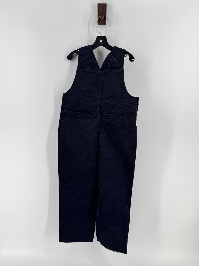 NWT Dog in spaceship