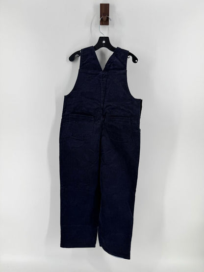 NWT Dog in spaceship