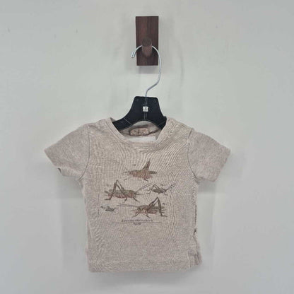 Shorts & t-shirt set