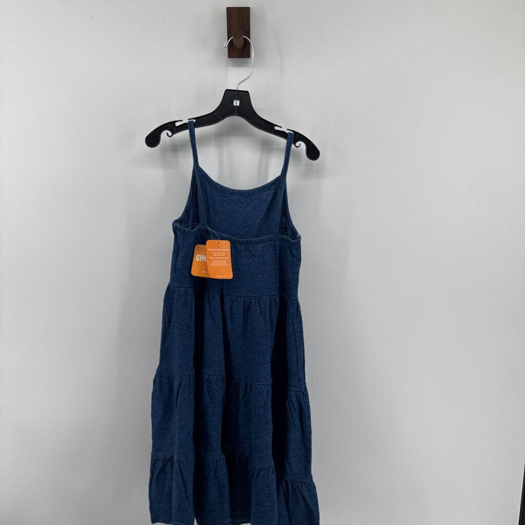 NWT tank tiered dress