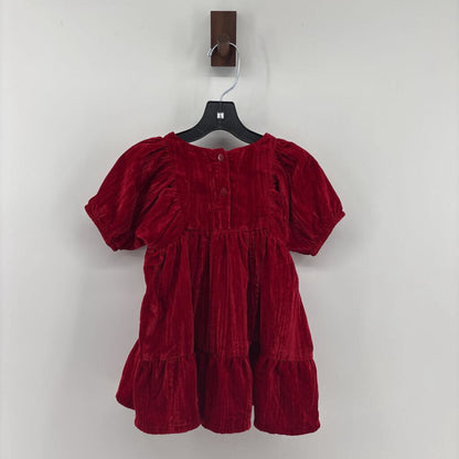 NWT velvet