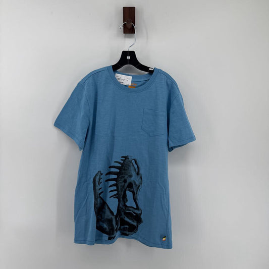 Dinosaur skeleton