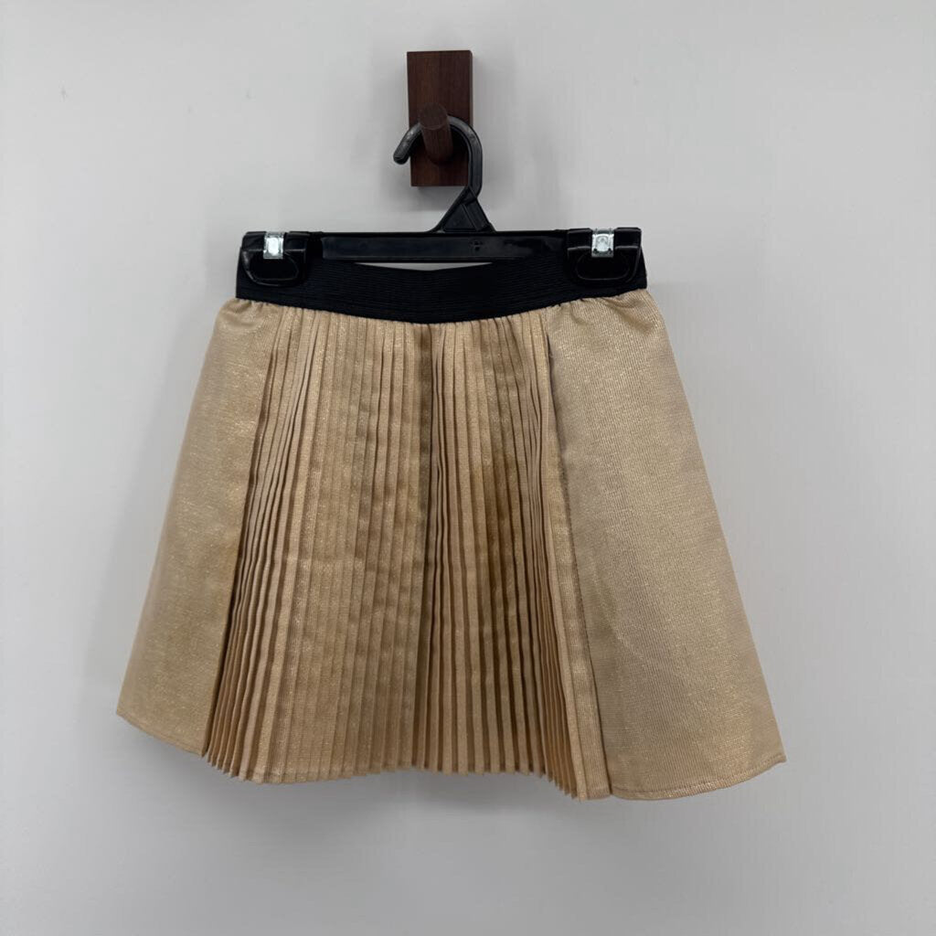 Pleated Skirt