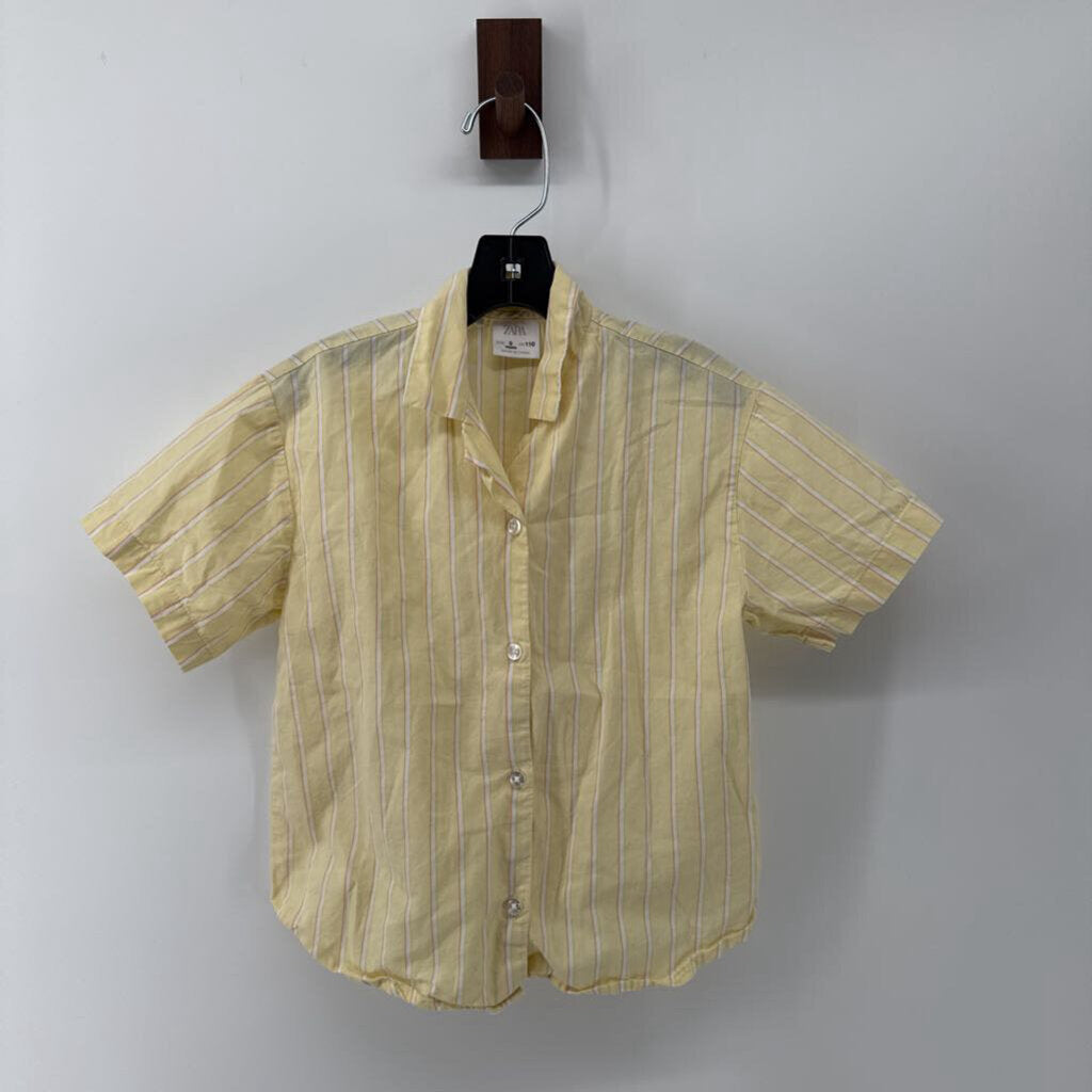 Button Down and Shorts