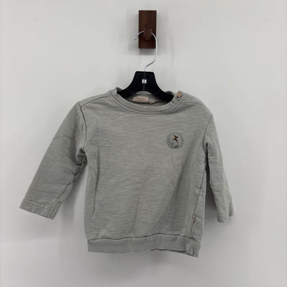 Kite Patch on Chest