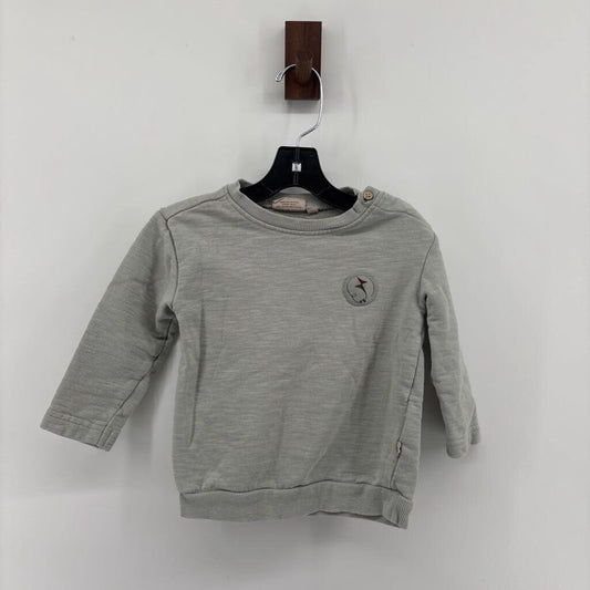 Kite Patch on Chest