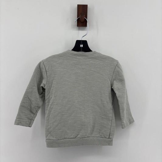 Kite Patch on Chest