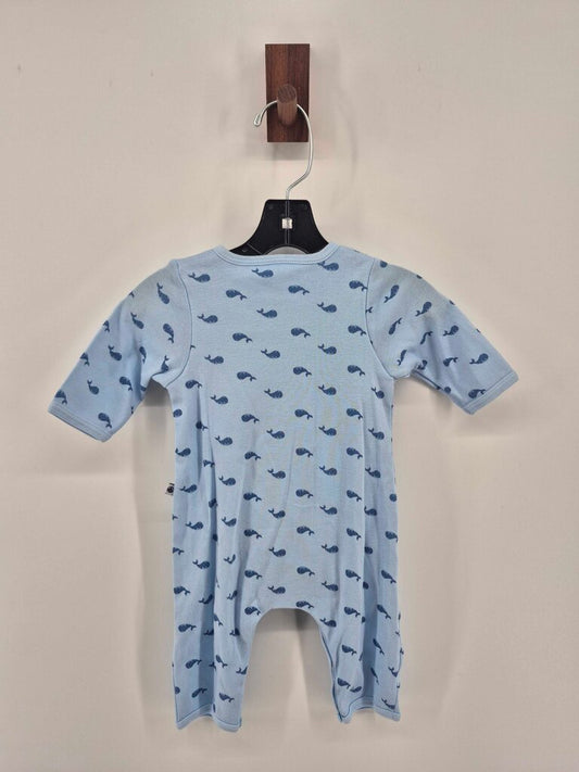 whales