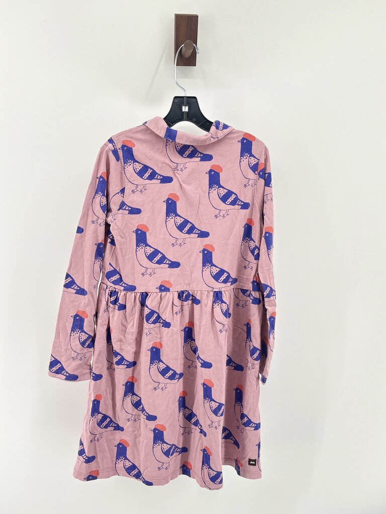 Birds. Collar