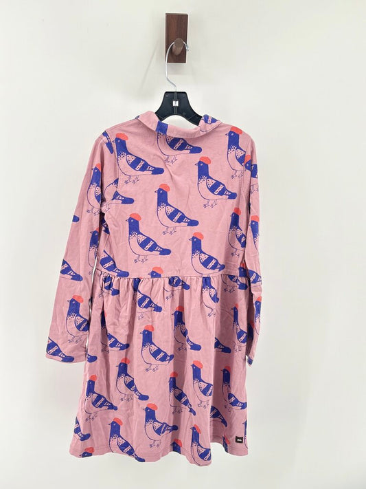 Birds. Collar