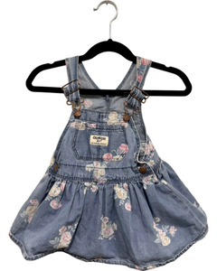 Floral Overall Dress (12M)